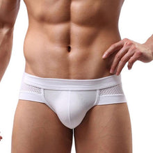 Mens Underwear Briefs Cotton Low Waist Underpanties For Men Male Panties ropa interior hombre BL