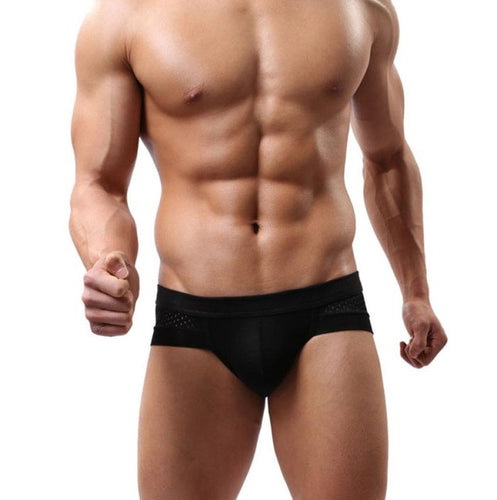 Mens Underwear Briefs Cotton Low Waist Underpanties For Men Male Panties ropa interior hombre BL