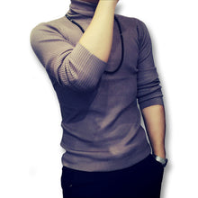 Men Turtleneck Sweaters and Pullovers Men's Casual Slim Fit Long Sleeved Knitted Sweaters Hombre Outwear BL